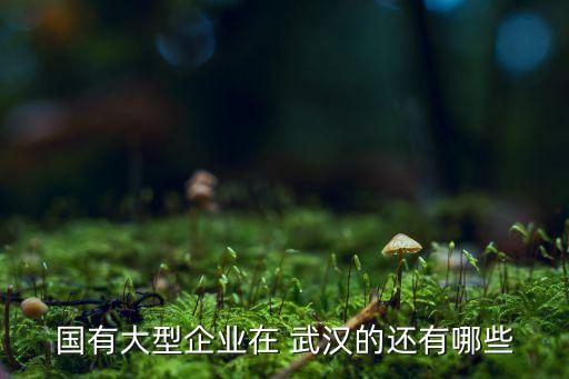 國有大型企業(yè)在 武漢的還有哪些