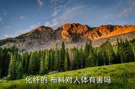  化纖的 布料對(duì)人體有害嗎
