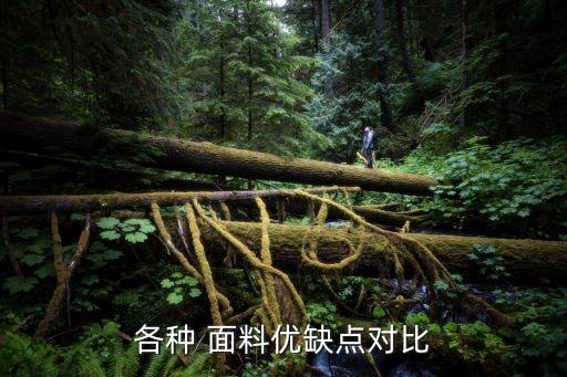 韓國(guó)紗面料的缺點(diǎn),珍珠紗面料有什么缺點(diǎn)
