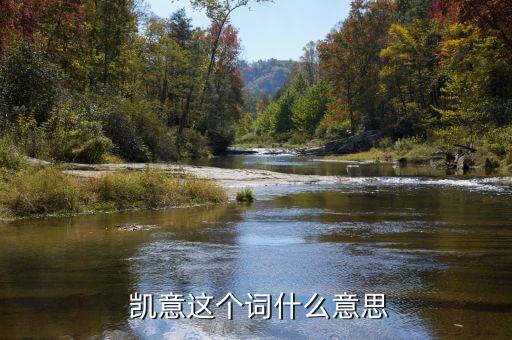  凱意這個詞什么意思