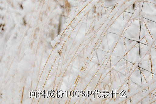面料成份100%P代表什么