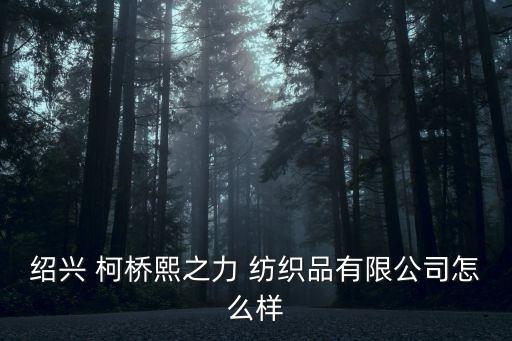 紹興 柯橋熙之力 紡織品有限公司怎么樣