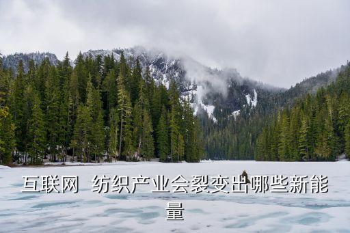 互聯(lián)網(wǎng)  紡織產(chǎn)業(yè)會裂變出哪些新能量