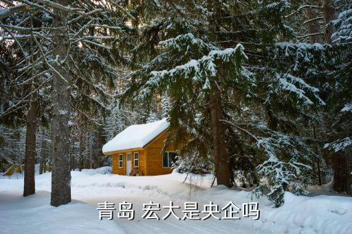  青島 宏大是央企嗎