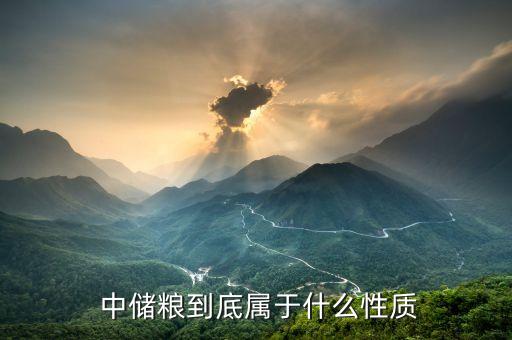  中儲(chǔ)糧到底屬于什么性質(zhì)