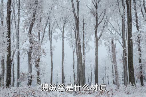  鵝絨絲是什么材質
