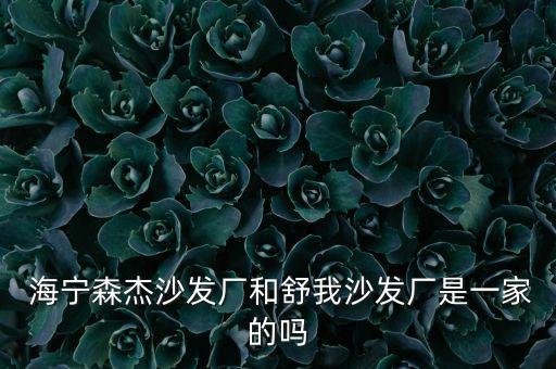  海寧森杰沙發(fā)廠和舒我沙發(fā)廠是一家的嗎