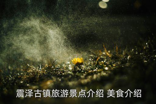  震澤古鎮(zhèn)旅游景點介紹 美食介紹