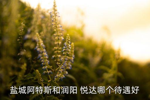鹽城阿特斯和潤(rùn)陽(yáng) 悅達(dá)哪個(gè)待遇好