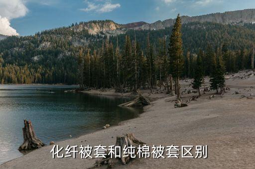  化纖被套和純棉被套區(qū)別