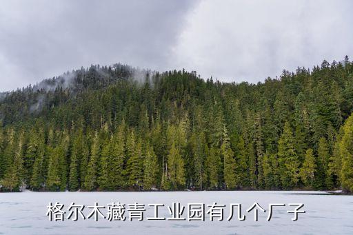 格爾木藏青工業(yè)園有幾個(gè)廠子