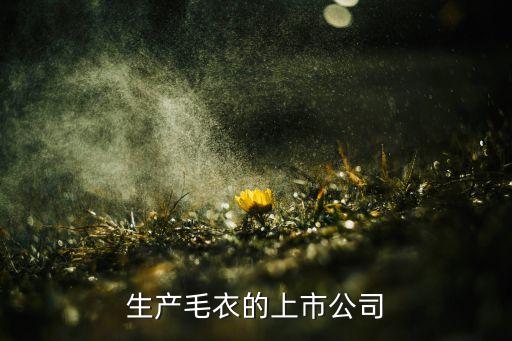 生產(chǎn)毛衣的上市公司