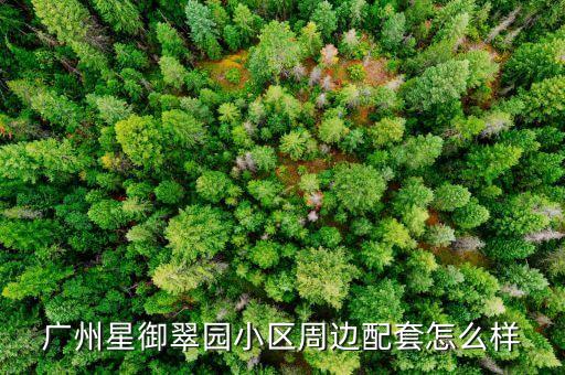 廣州星御翠園小區(qū)周邊配套怎么樣