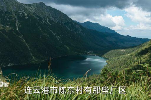 連云港市陳東村有那些廠區(qū)