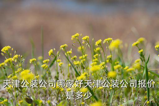 天津公裝公司哪家好天津公裝公司報(bào)價(jià)是多少
