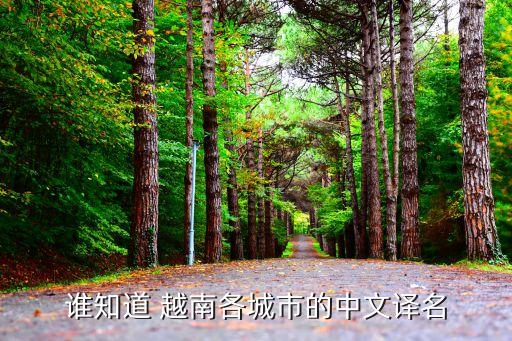 越南紡織廠集中地,越南大型紡織廠有哪些
