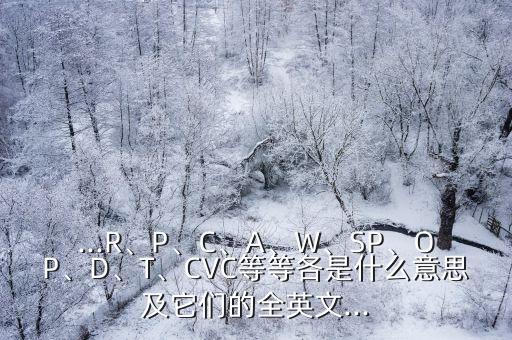 ...R、P、C、A、W、SP、OP、D、T、CVC等等各是什么意思及它們的全英文...
