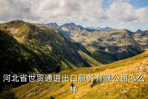 河北省世貿(mào)通進出口服務有限公司怎么樣