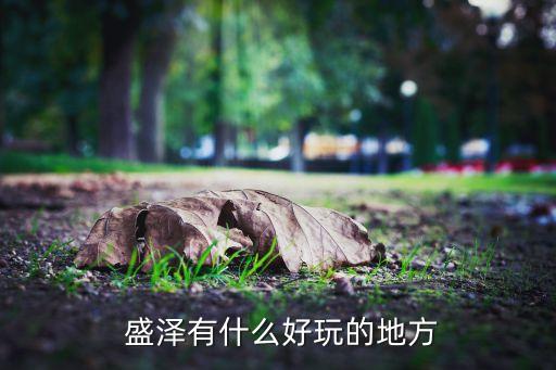 盛澤南華紡織,南華紡織有限公司