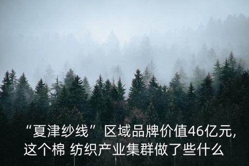 “夏津紗線”區(qū)域品牌價值46億元,這個棉 紡織產(chǎn)業(yè)集群做了些什么