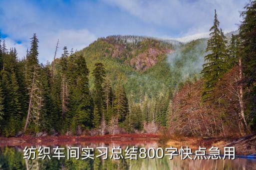  紡織車(chē)間實(shí)習(xí)總結(jié)800字快點(diǎn)急用