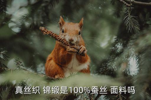 織錦緞是什么面料,錦緞布料圖片