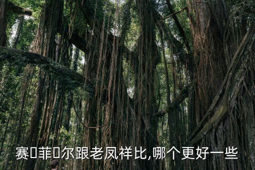 賽?菲?爾跟老鳳祥比,哪個(gè)更好一些