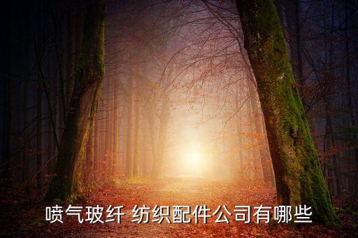 噴氣玻纖 紡織配件公司有哪些