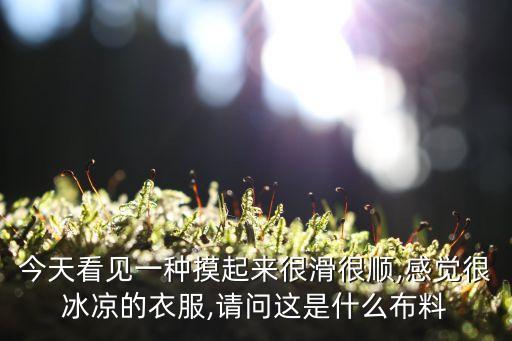 今天看見一種摸起來很滑很順,感覺很冰涼的衣服,請問這是什么布料