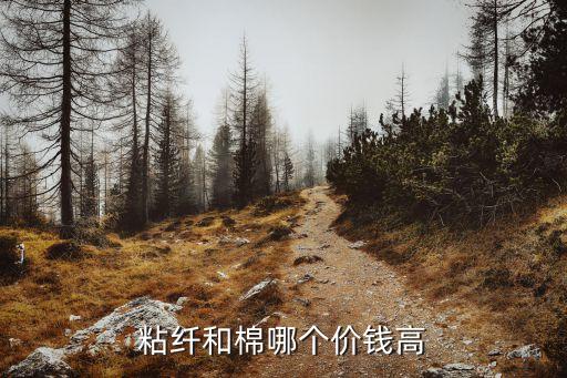 粘纖和棉哪個價錢高