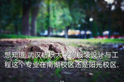 想知道 武漢紡織大學(xué)的服裝設(shè)計(jì)與工程這個(gè)專業(yè)在南湖校區(qū)還是陽光校區(qū)...