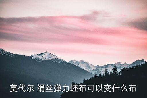 莫代爾 絹絲彈力坯布可以變什么布