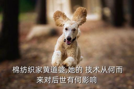  棉紡織家黃道婆,她的 技術(shù)從何而來對后世有何影響