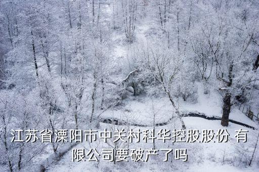 江蘇省溧陽(yáng)市中關(guān)村科華控股股份 有限公司要破產(chǎn)了嗎