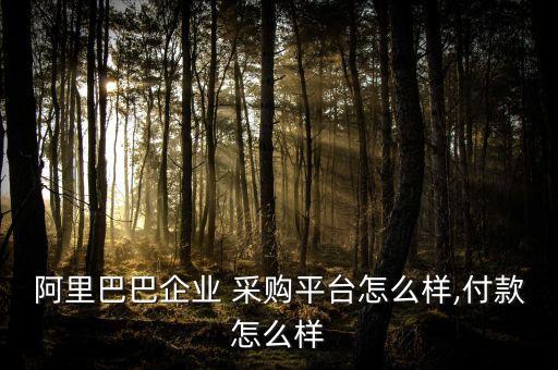 阿里巴巴企業(yè) 采購平臺怎么樣,付款怎么樣