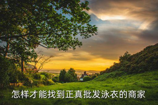 怎樣才能找到正真批發(fā)泳衣的商家