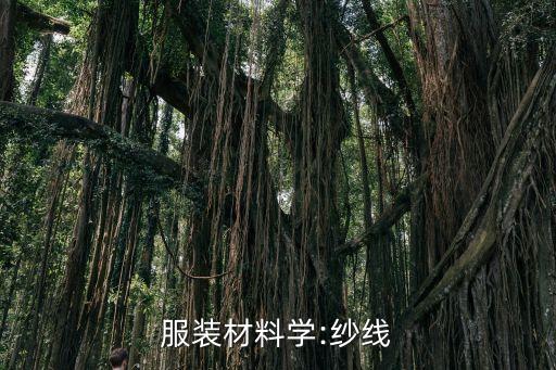 服裝材料學(xué):紗線