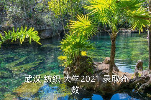 武漢紡織大學(xué)錄取查詢