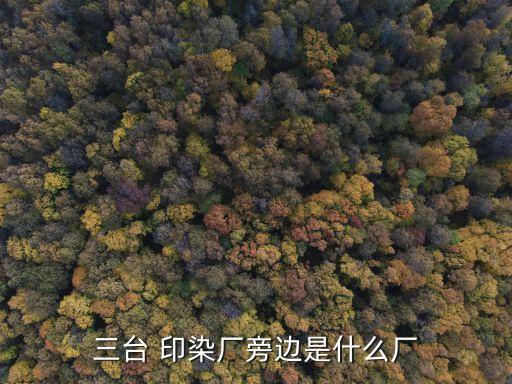 三臺 印染廠旁邊是什么廠