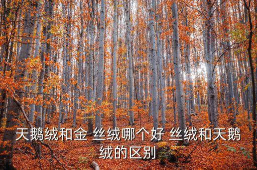 天鵝絨和金 絲絨哪個好 絲絨和天鵝絨的區(qū)別