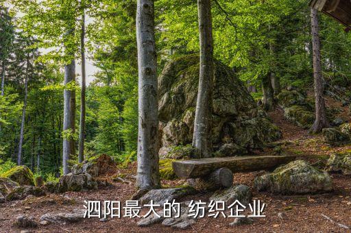 泗陽(yáng)最大的 紡織企業(yè)