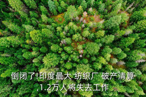 紡織破產(chǎn),新野縣紡織要破產(chǎn)嗎