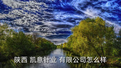 陜西 凱意針業(yè) 有限公司怎么樣