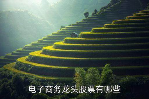 廣州中大豐美紡織