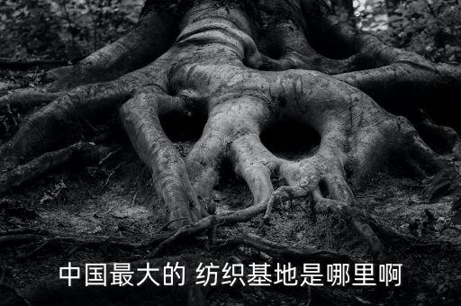 中國(guó)最大的 紡織基地是哪里啊