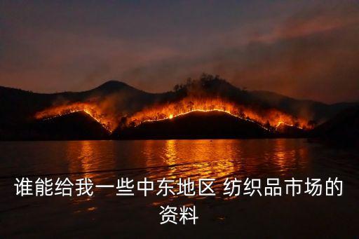 誰能給我一些中東地區(qū) 紡織品市場的資料