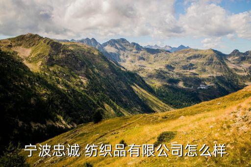 盛泰紡織集團上市,嵊州盛泰紡織集團怎么樣