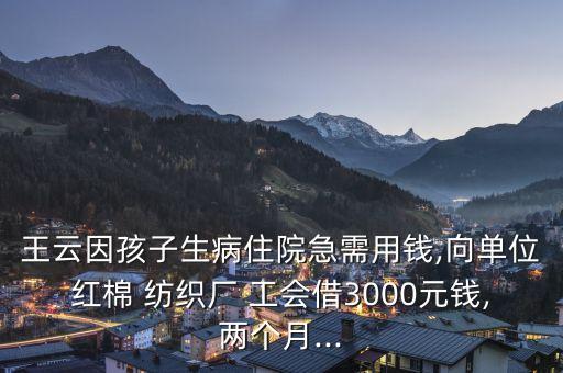 王云因孩子生病住院急需用錢,向單位紅棉 紡織廠 工會借3000元錢,兩個月...