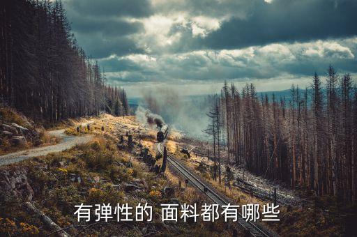 有彈性的 面料都有哪些