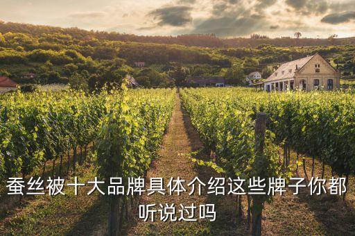 蠶絲被十大品牌具體介紹這些牌子你都聽說過嗎